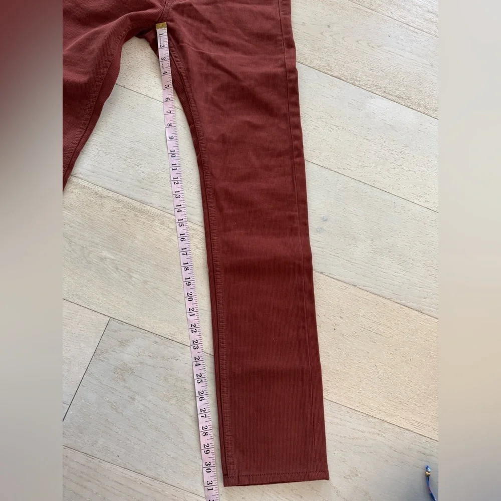 NWOT Spier & Mackay mens rust brown pants 30x31 brushed twill